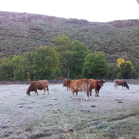 Летний дом El Llao Y Fresnos Муриас-де-Паредес