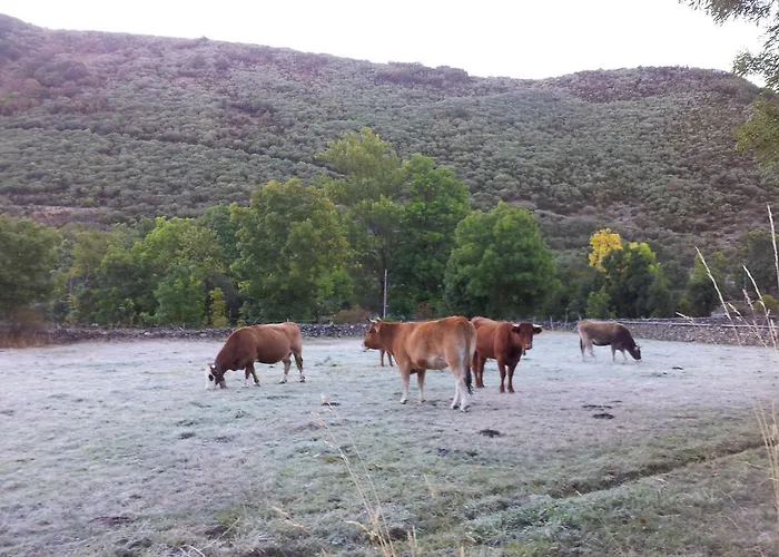 Séjour à la campagne El Llao Y Fresnos Murias de Paredes